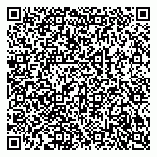 vCard 79609353387