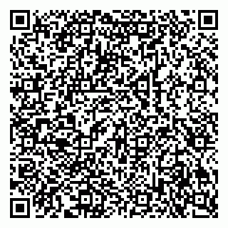 vCard 79609353389