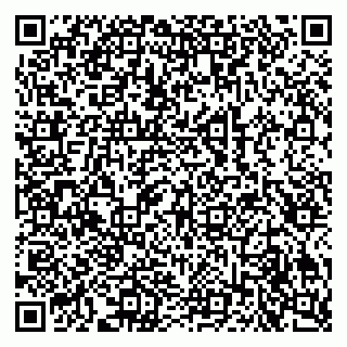vCard 79609355335