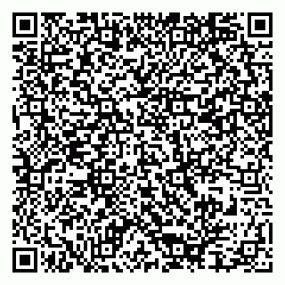 vCard 79609355385