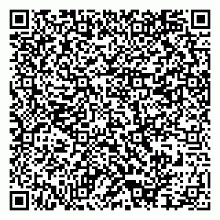 vCard 79609355387