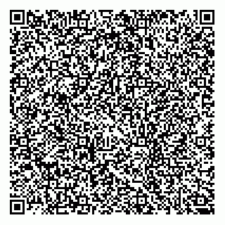 vCard 79609358030