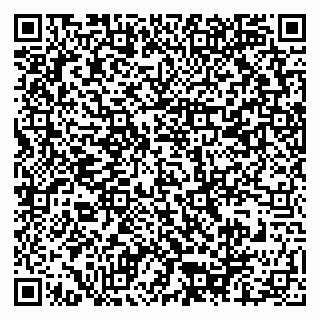 vCard 79609358979