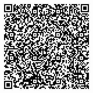vCard 79609359296