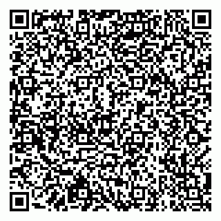 vCard 79610089735