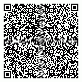 vCard 79610303702