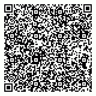 vCard 79610303713
