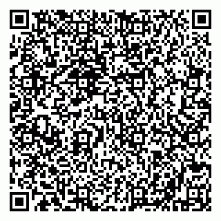 vCard 79610303729