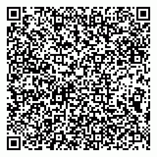 vCard 79610303771