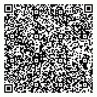 vCard 79610303780