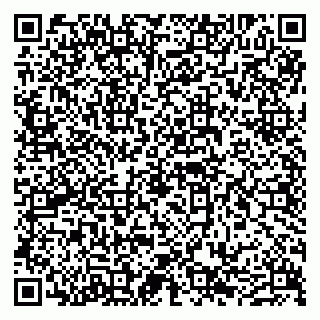vCard 79610303804