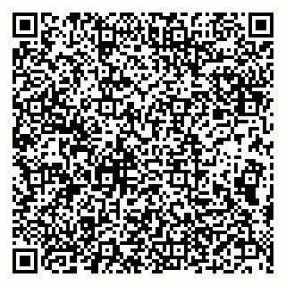 vCard 79610303805