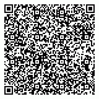 vCard 79610303815