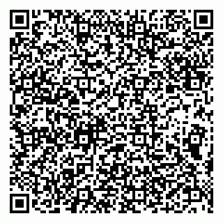 vCard 79610303870
