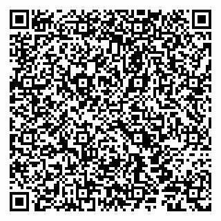 vCard 79610303985