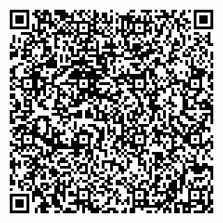vCard 79610303987