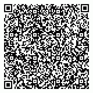 vCard 79611000539