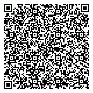 vCard 79611000739