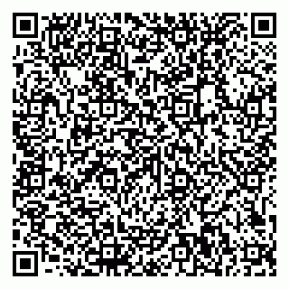vCard 79611110873