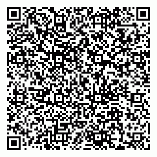 vCard 79611110909