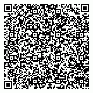 vCard 79611110931