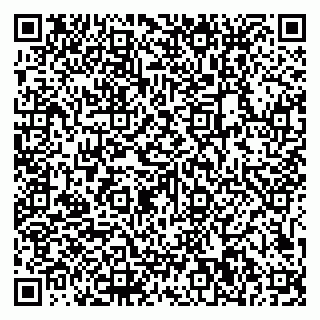 vCard 79611110933