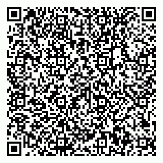 vCard 79611110978