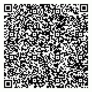 vCard 79611111003
