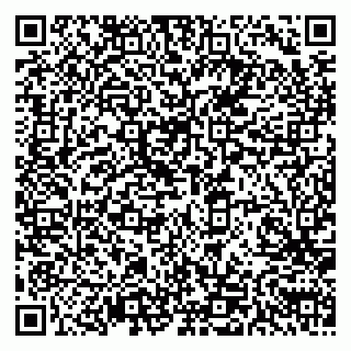 vCard 79611111009