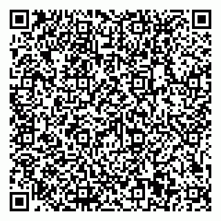 vCard 79611111018
