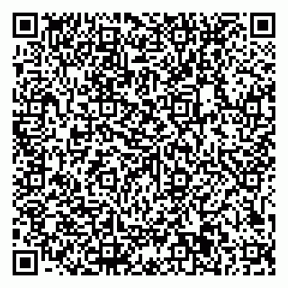 vCard 79611111027