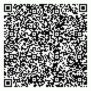 vCard 79611111029