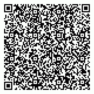 vCard 79611111032