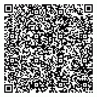 vCard 79611111033