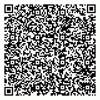 vCard 79611111037