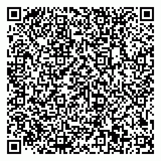 vCard 79611111039