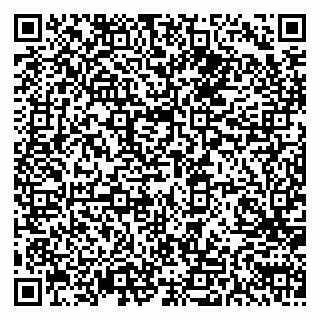 vCard 79611111085