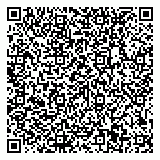 vCard 79611111089