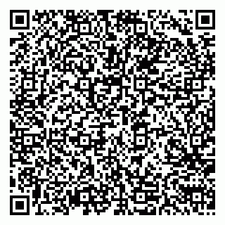 vCard 79611111090