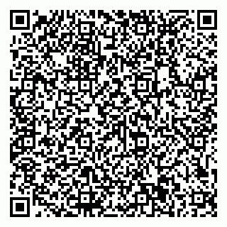vCard 79611111097