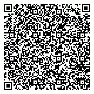 vCard 79611111110