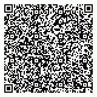 vCard 79611272439