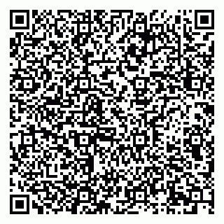 vCard 79611274001