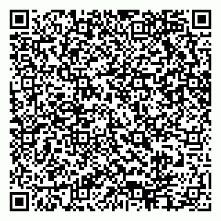 vCard 79611274105