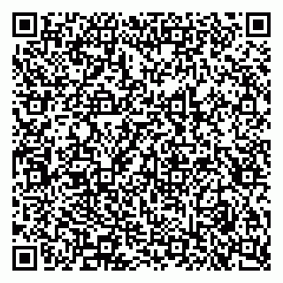 vCard 79611274163