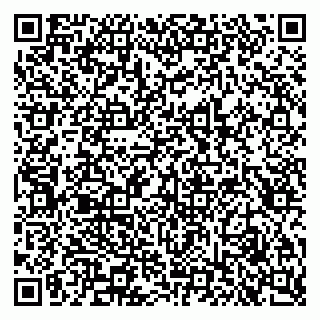vCard 79611274363