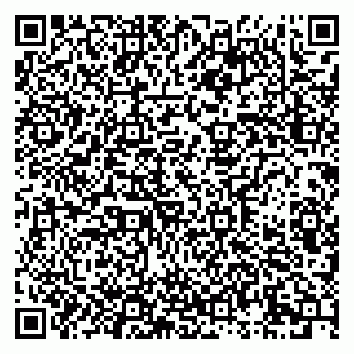 vCard 79611294001