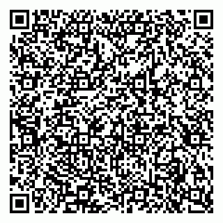 vCard 79611294039