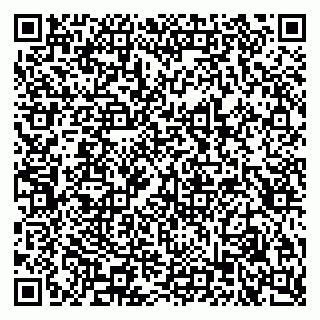 vCard 79611299252