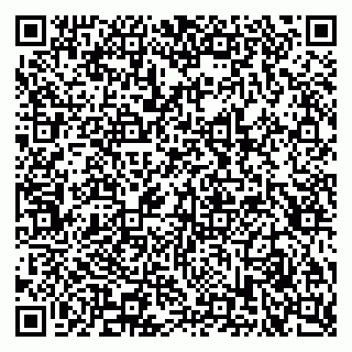 vCard 79611299383